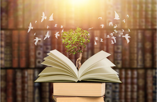 tree growing out of book